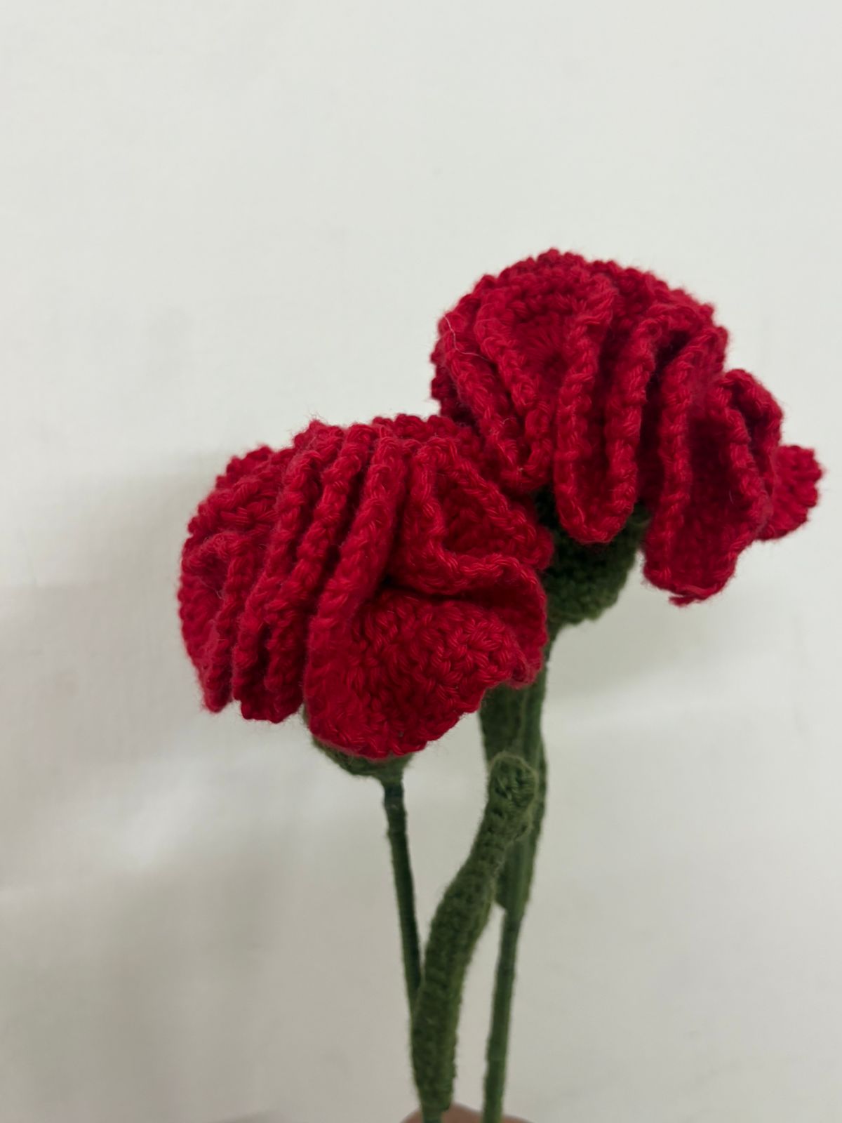 WhatsApp Image 2026-01-21 at 1.22.17 PM