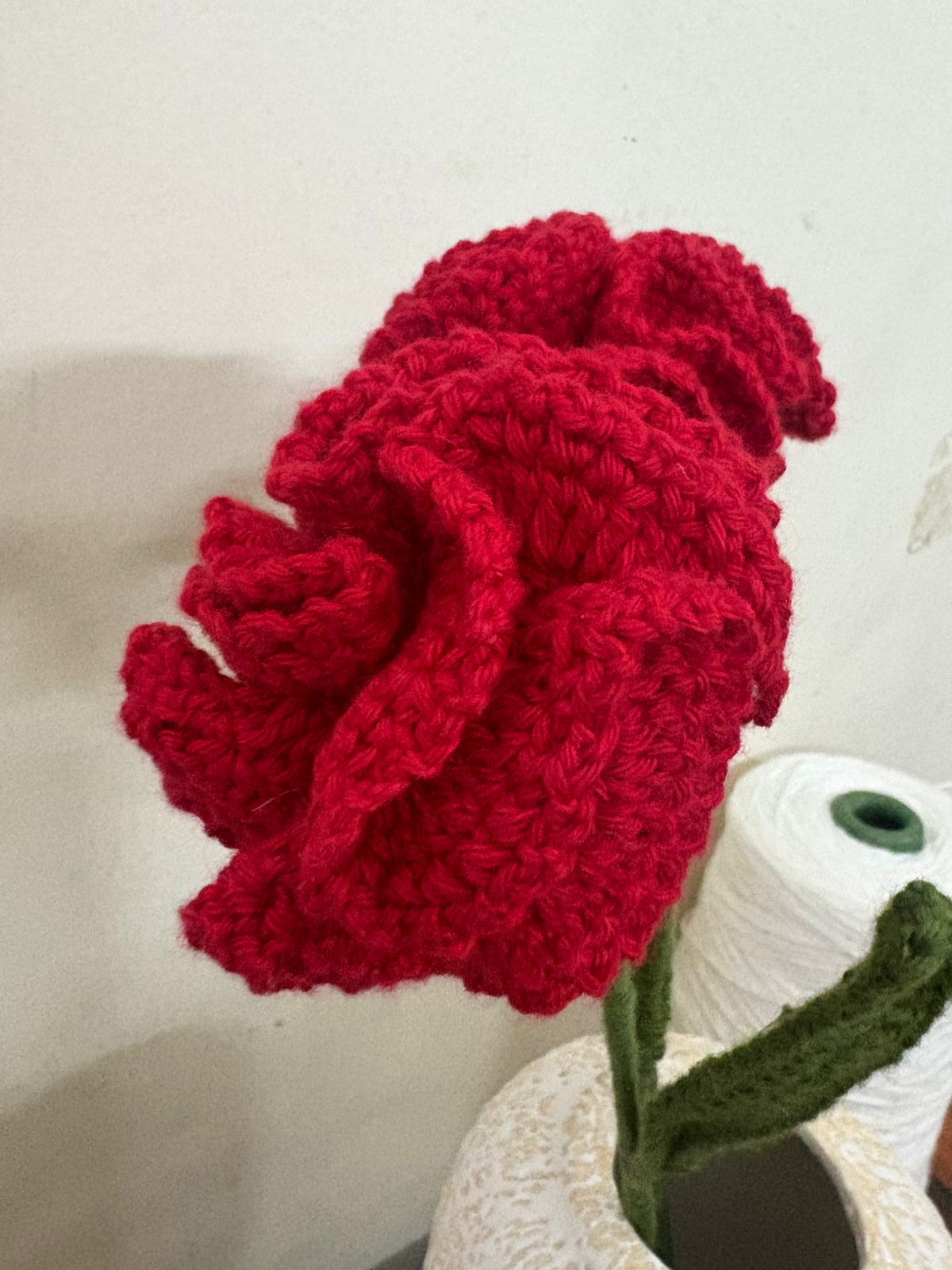 WhatsApp Image 2026-01-21 at 1.22.18 PM-2