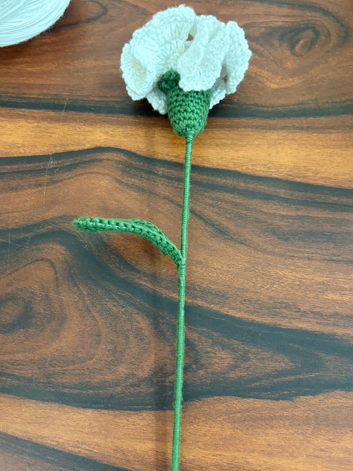 WhatsApp Image 2026-01-21 at 1.22.19 PM-2